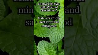 quot🌱 Control Oily Skin Naturally with Mint amp Sandalwood ✨ Get Clear OilFree Skinquot diybeauty [upl. by Elayne]