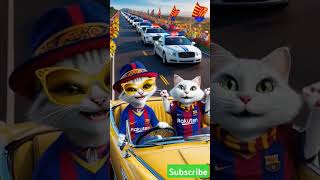 عملةهامستر تعلمصح cat automobile funny catlover animals cute cutecat coin [upl. by Rayford]