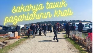 Sakarya canlı tavuk 🐔 pazarı part 3 17032024 [upl. by Surat]