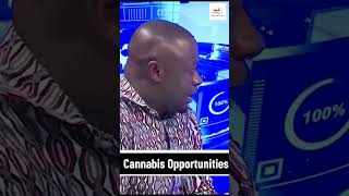 Cannabis Opportunities in Ghana 🇬🇭 [upl. by Fairbanks850]