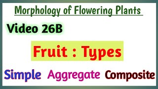 Fruit types  Brief Classification of Fruits  Simple Aggregate and Multiple Fruit Meaning [upl. by Lemej37]