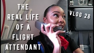 The quotReal Lifequot of a Flight Attendant  Vlog 28  EAST TO WEST COAST [upl. by Verda]