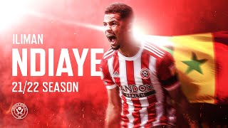 Iliman Ndiaye  All Goals skills highlights for Sheffield United 202122  Senegal 🌪 🇸🇳 [upl. by Hoye]