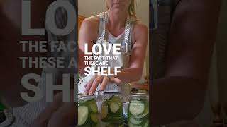 Quick Dill Pickle Canning [upl. by Atinaj]