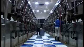 DeLaval large herd dairy management part 1 [upl. by Lazaruk774]