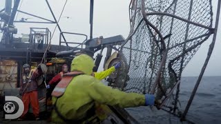 Pescadores encontram suas gaiolas para caranguejos destruídas  Pesca Mortal  Discovery Brasil [upl. by Ajnin]