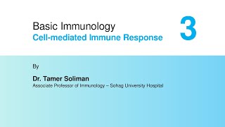 Basic Immunology  Cellmediated Immune Response Part 3 [upl. by Ciapha]