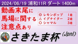 【さきたま杯2024】ヤングマン氏のレース予想！今年からJpnIに昇格！GI馬レモンポップやかしわ記念勝ち馬シャマルにイグナイターが参戦で盛り上がりそうだ！！ [upl. by Bev]