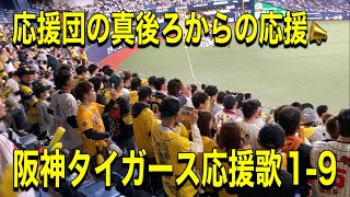 2024324 【応援席ど真ん中からの応援】阪神タイガース試合前応援歌19 [upl. by Aiehtela]