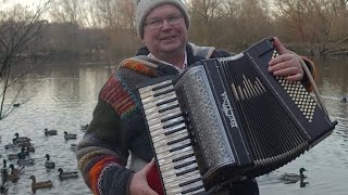 AkkordeonMusik am EntenTeich im Naturschutzgebiet Mönchbruch Hessen [upl. by Kellie]