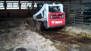 Bobcat S650 cleaning the heifer pen [upl. by Eehtomit]