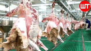 How Sheep Meat is Processed  Modern Sheep Farming Technology  Food Factory [upl. by Stormie]