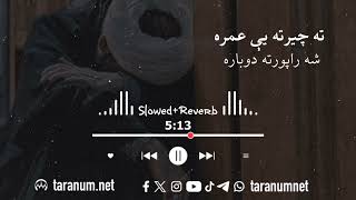 Ta Cherta Ye Omara Pashto Taranaته چيرته یې عمره Pashonewnaat پښتوترانې pashtonaat 2024 [upl. by Simson]