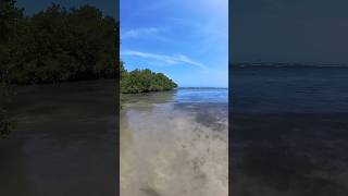 Playa MANGLILLO en Guánica Puerto Rico 🇵🇷 [upl. by Orgell]