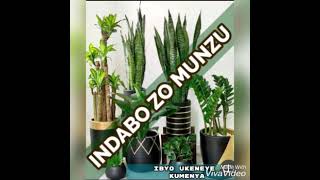 TOP20Indabo zo mu nzu cg muma vaze zibanze [upl. by Ahterod362]