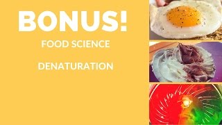 Food Science Denaturation [upl. by Zeb]