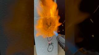 Powerful Lighter vs Paper Towel [upl. by Ottie52]