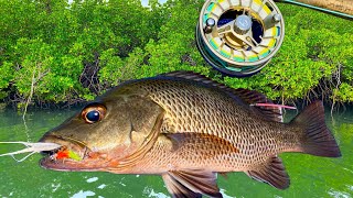 Saltwater Fly Fishing Leader Setup amp Tropical Species on Fly [upl. by Maletta859]