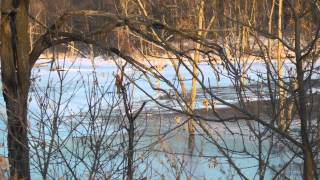 Brushy Creek lake Iowa Ice fishing report by WillCFish Tips and Tricks [upl. by Burkle]