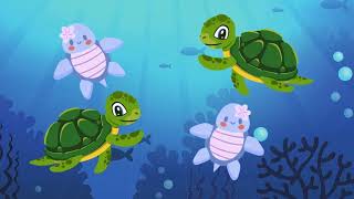 The Turtle Song by Magic Tune Kids [upl. by Sorel]