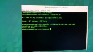 CVE20146321 MS14066 Crash PoC by CodeAndSec RDP [upl. by Nnahoj174]