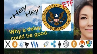 ETF VanEck SolidX Bitcoin Trust Ruling Delay could be positiveheres why [upl. by Aremat]