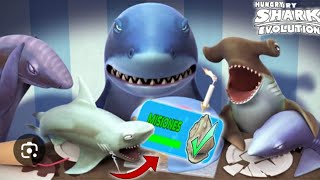 Hungry shark evolution mako tiburon shark [upl. by Annabelle425]