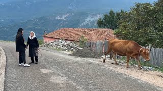 Dragostunjë fshati me pamje përrallore”Këtu s’ka asnjë problem” Pse nuk ankohen banorët aty [upl. by Sokim]