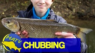 CHUB FISHING The Test Blackwater  Hampshire Angling TV [upl. by Irrej]