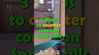 Ways To Counter Common Sage Walls [upl. by Jobyna]