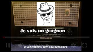 Je suis un grognon  Parodie de Mylène Farmer Sans contrefaçon [upl. by Iveson932]