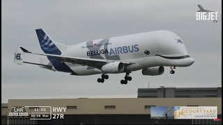 Airbus Beluga XL lands at Heathrow Airport for the very first time [upl. by Garzon]