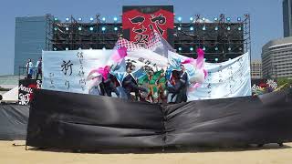 龍谷大学 華舞龍 第25回こいや祭り 2024年9月7日 太陽の広場メイン会場 [upl. by Nylra288]