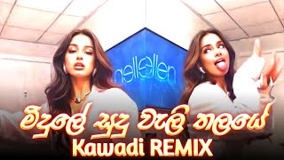 මිදුලේ සුදු වැලි තලයේ Kavadi dance remix  Midule sudu vali thalaye dj remix kavadi [upl. by Nnylyt]