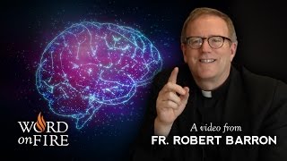 Bishop Barron on Conscience and Morality [upl. by Sixele]