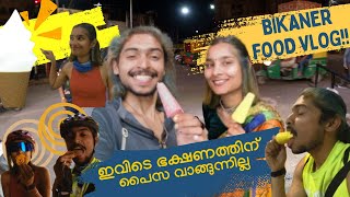 ജിലേബി മുതൽ കഞ്ചാവിന്റെ കടി വരെ😳  Bikaner Food Tour🌮🧁  EP  10 [upl. by Zelde]