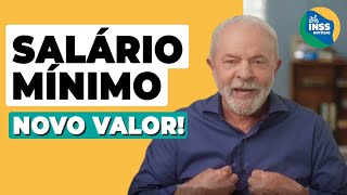 NOVO VALOR DO SALÁRIO MÍNIMO É ANUNCIADO COM AUMENTO DE 637 [upl. by Ennylyak344]