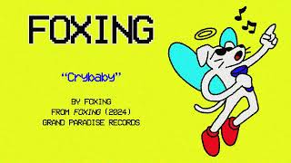 Foxing  Cry Baby Official Lyric Video [upl. by Ylsel]