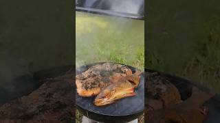 smoked salmon and perch food salmon grilling perch fish fishing [upl. by Aneled612]