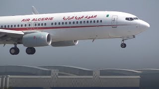 Atterrissage Air Algérie  نزول طائرة الخطوط الجوية الجزائرية بدقة عالية [upl. by Hcab]