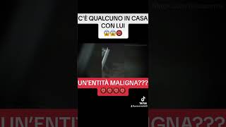 UN DEMONE IN CASA 😱😱👹 reels youtube parnormal shorts ghost ghosts [upl. by Anglim]