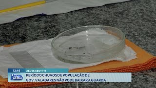 Aedes Aegypti Período Chuvoso e População de Gov Valadares não pode Baixar a Guarda [upl. by Ahsekahs627]