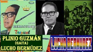 Lucho Bermúdez Plinio Guzmán Instrumental [upl. by Dusza]