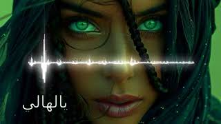 New Arabic Remix Song 2024  Bass Boosted  TikTok Music  Arabic Remix Song [upl. by Matti668]