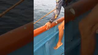 King fish fishing at Malvan 10KG🔥💥 [upl. by Asseniv]