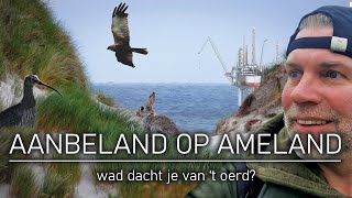 69  AANBELAND OP AMELAND  wad dacht je van t oerd [upl. by Eilloh]