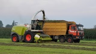 Loonbedrijf Neyt  Claas Jaguar 970  gras hakselen [upl. by Starbuck32]