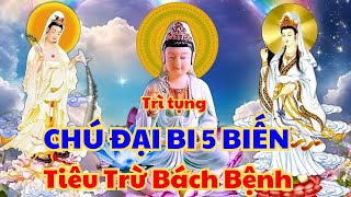 Trì tụng CHÚ ĐẠI BI 5 Biến tiêu trừ bách bệnh  Tâm Bồ Đề BT [upl. by Eiramanna]