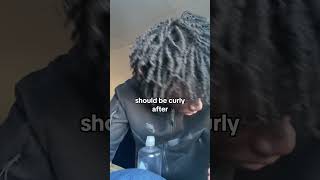 Curly Freeform Dreads Tutorial 🔥 freeform hair freeformlocs freeformdreads haircut hairstyle [upl. by Keane]