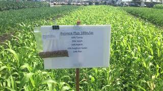 MN Soil Health Coalition Top 5 Cover Crop Mixes Balance Plus [upl. by Eitirahc]